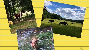 Math - 8.F.2 - Comparing Linear Functions