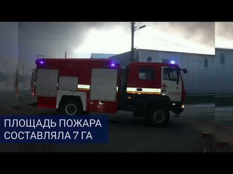 Loading video