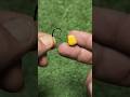How To Put Fishing Bait #shorts #fishing