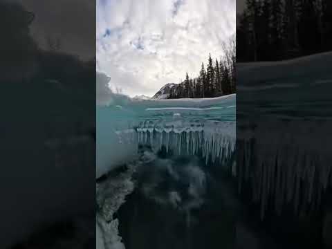 ice ocean#bollywood #reels #trending #latest #shorts
