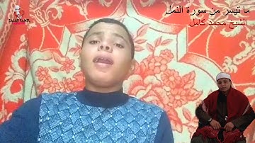 نفحات من سورة النمل ما شاء الله. الشيخ محمد محمد كامل #قارئ_جيله