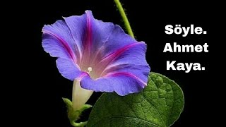 Söyle. Ahmet Kaya. Duygusal Bağlamalı Fon Müziği.