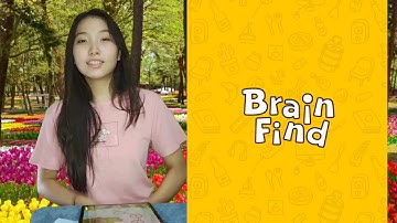Brain Find Level 16 Find 2 differences Walkthrough