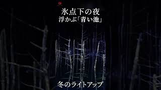 氷点下の夜、浮かぶ青い池　北海道・美瑛ライトアップ