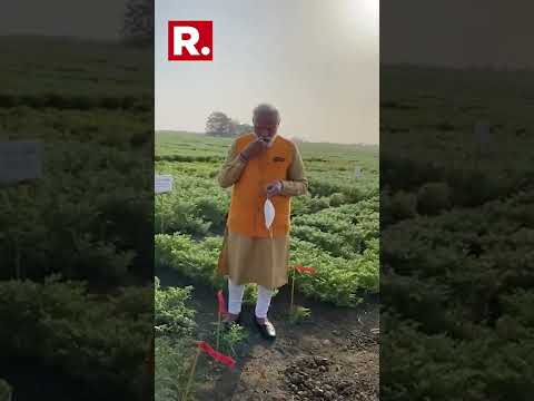 PM Stops By To Have ‘Chana’ At The ICRISAT Farm In Hyderabad | #shorts