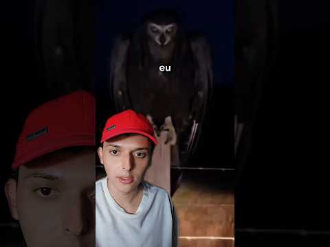 a coruja gigante do Texas #shorts