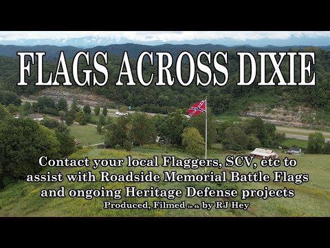 Flags Across Dixie #5 Short