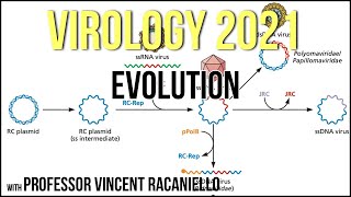 Virology Lectures 2021 #21 - Evolution