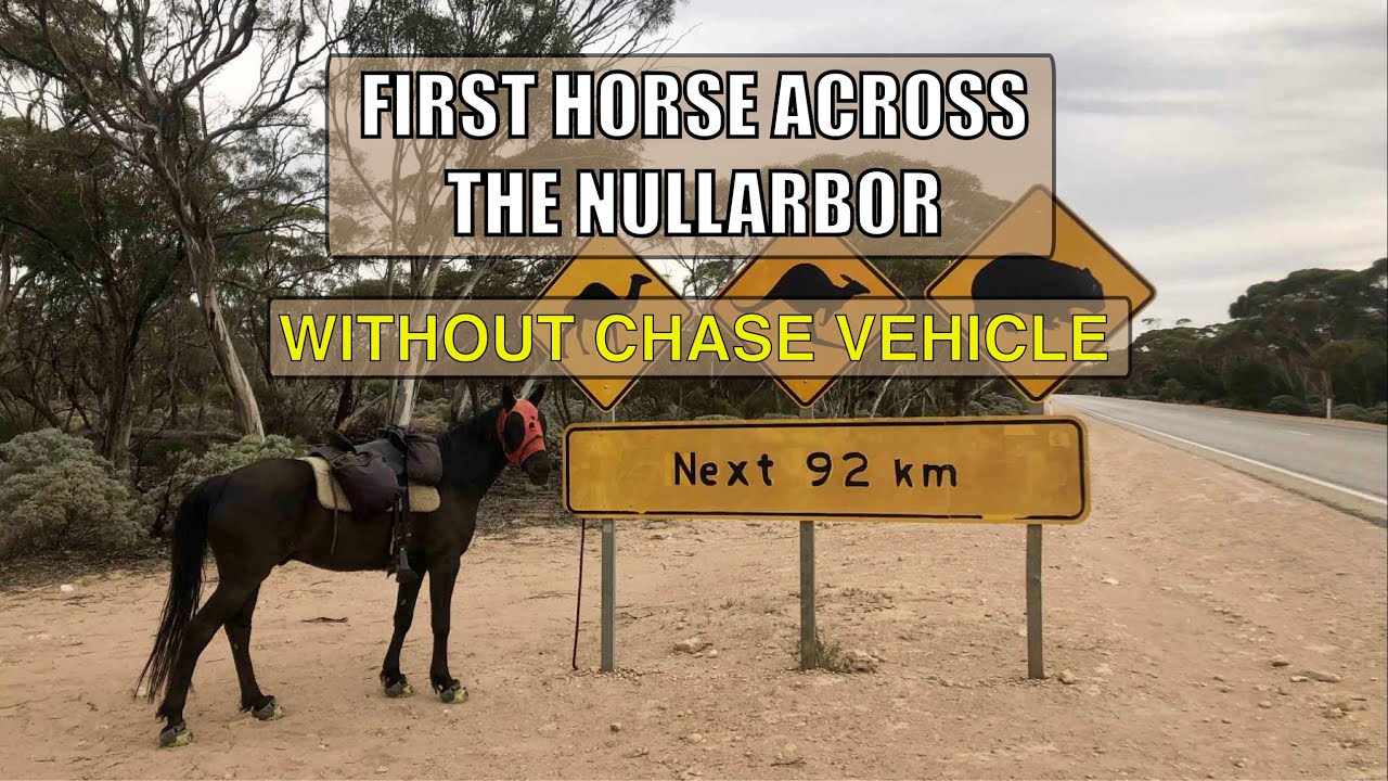 Crossing the Nullarbor on Horseback: First Solo Rider With No Support Vehicle | Gin & Fable