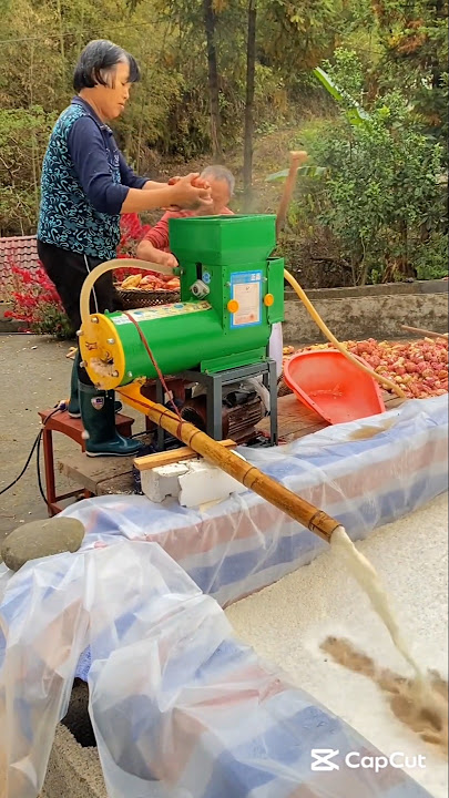 Sweet Potato Starch Processing #products #streetfood #foodie