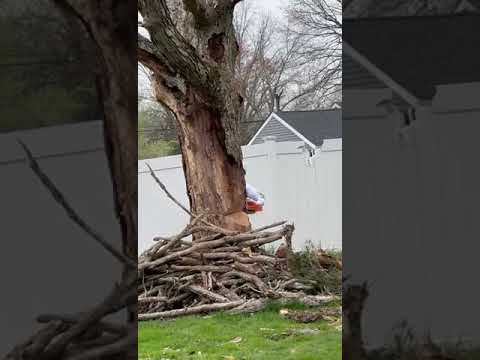 Video thumbnail: Short 28