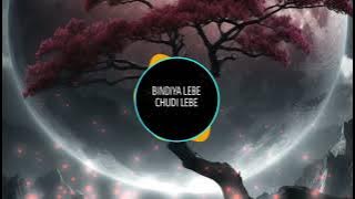 Bindiya Lebe Chudi Lebe Cg Song Dj | Dance Mix | Dj Maa Laxmi