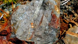 Gold Bearing Quartz Veins, Copper Skarns & Massive Arsenopyrite!