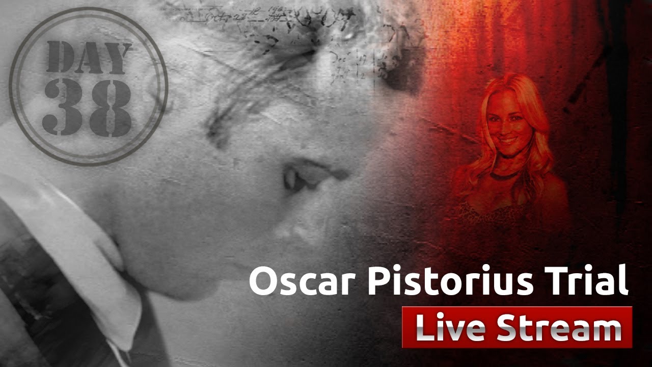 Oscar Pistorius Trial [Day 38]