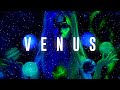 Lady Gaga - Venus (Backdrop Concept)