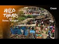 Dom Meets An Insect Dealer | Wild Things with Dominic Monaghan | Cameroon (Season 1 Episode 3)