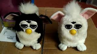 More White Furdy and Black and White Fofito (Furby fakes)