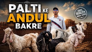 Palti Ke Top Andul Bakre In Kalyan