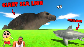 GIANT SEA LION vs MEGALODON in Animal Revolt Battle Simulator with SHINCHAN FRANKLIN and CHOP