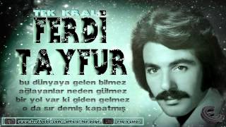 Ferdi TAYFUR - MİMAR Resimi