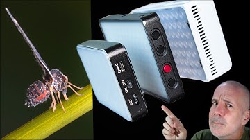 Best pocket LED light for macro videography that I own.