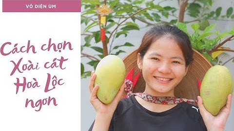 Cách Chọn Xoài Cát Hoà Lộc Ngon| Review cùng Jess