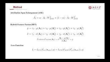 AGAIN: Adversarial Training with Attribution Span Enlargement and Hybrid Feature Fusion (CVPR 2023)
