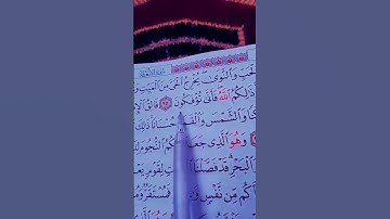 {ان ألله فالق الحب والنوى } تلاوة هادئه تريح القلب من سورة الأنعام _القاريء ماهر المعيقلي