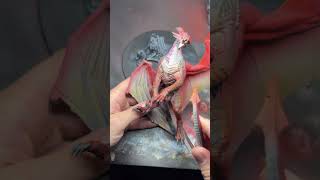 Some #wip of Karazai for my client stormcast eternals army 🔥#warhammer #paintingminiature