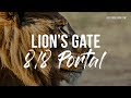 Lion's Gate 8/8: 5D Body, Truth, Telepathy | Abe Delmar