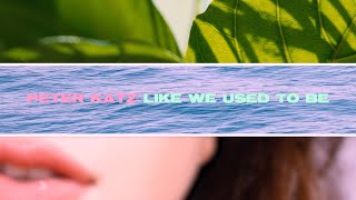 Video thumbnail of "Peter Katz  - Like We Used To Be  [Official Lyric Video]"