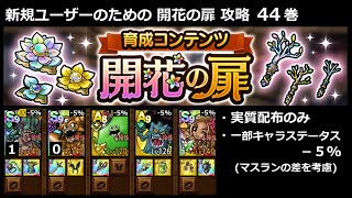 【ドラクエタクト】新規ユーザーのための開花の扉攻略 44巻 (2025年10月版) #ドラクエタクト