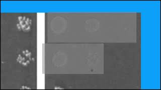 F68F6869A1FEAA0CC99235A3F01286#1