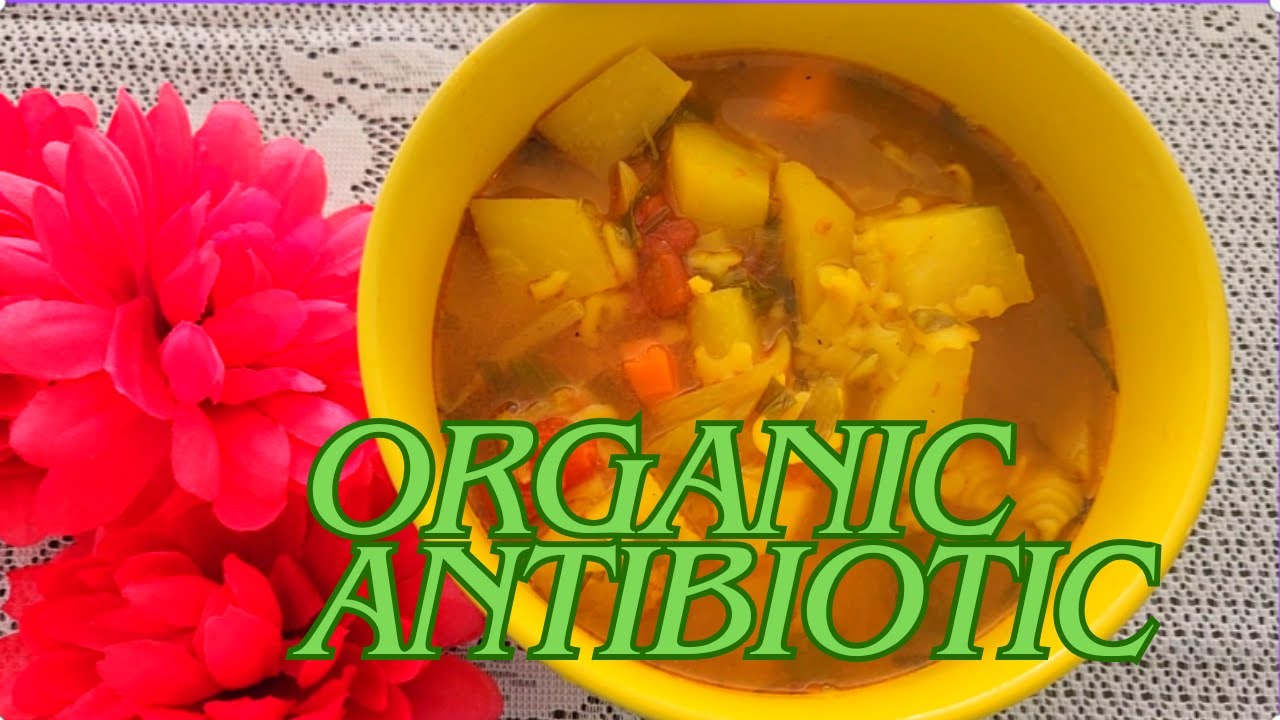 Organic Antibiotic Soup