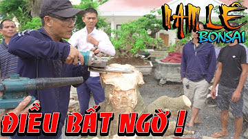 Nam Lê xử lý với những cây tán tầng mà anh em đang không biết gỡ thế nào! | NamLe Bonsai