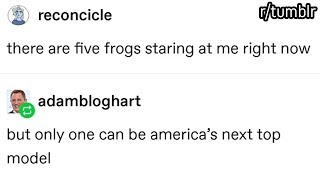 r/tumblr | AMERICA'S NEXT TOP FROG