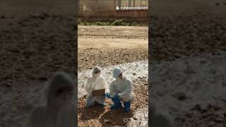 Ecological risk and identification of heavy metals in paddy soils and rice grains#soil #researchers
