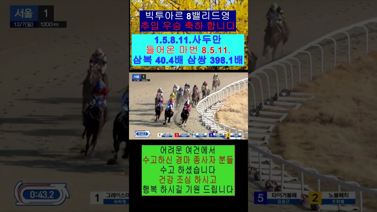 #경;마# 일요 첫경+주 398.1배 삼쌍.들어오는 영상보기