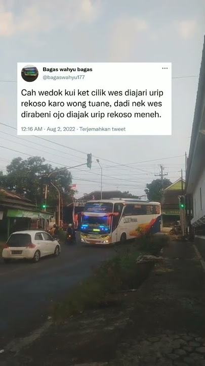 STORY WA LITERASI QUOTES BUS || DJ TETEG ATI X CEPAK CEPAK JEDER || LAJU PRIMA ac55 'SUNKIST'