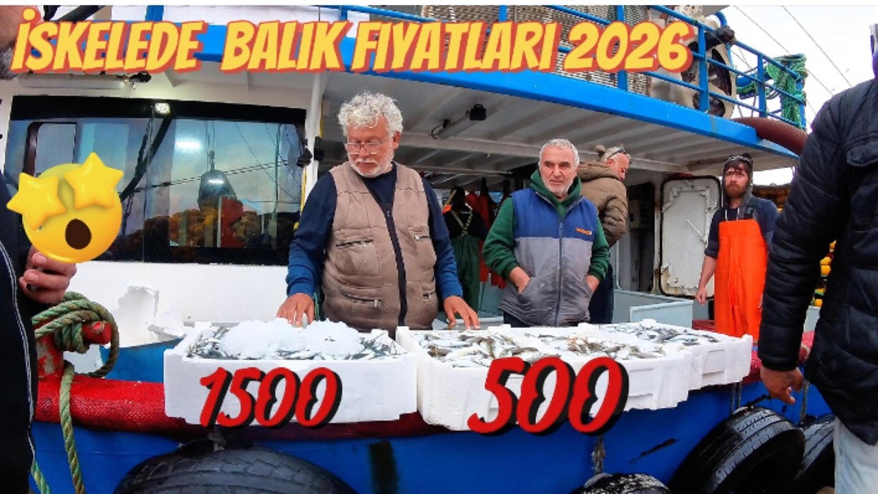 Denizden Sofraya! İskelede Balık Fiyatlarını İnceledik