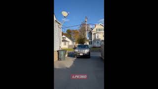 Dog keeps pushing horn to hurry owner @lpe360_