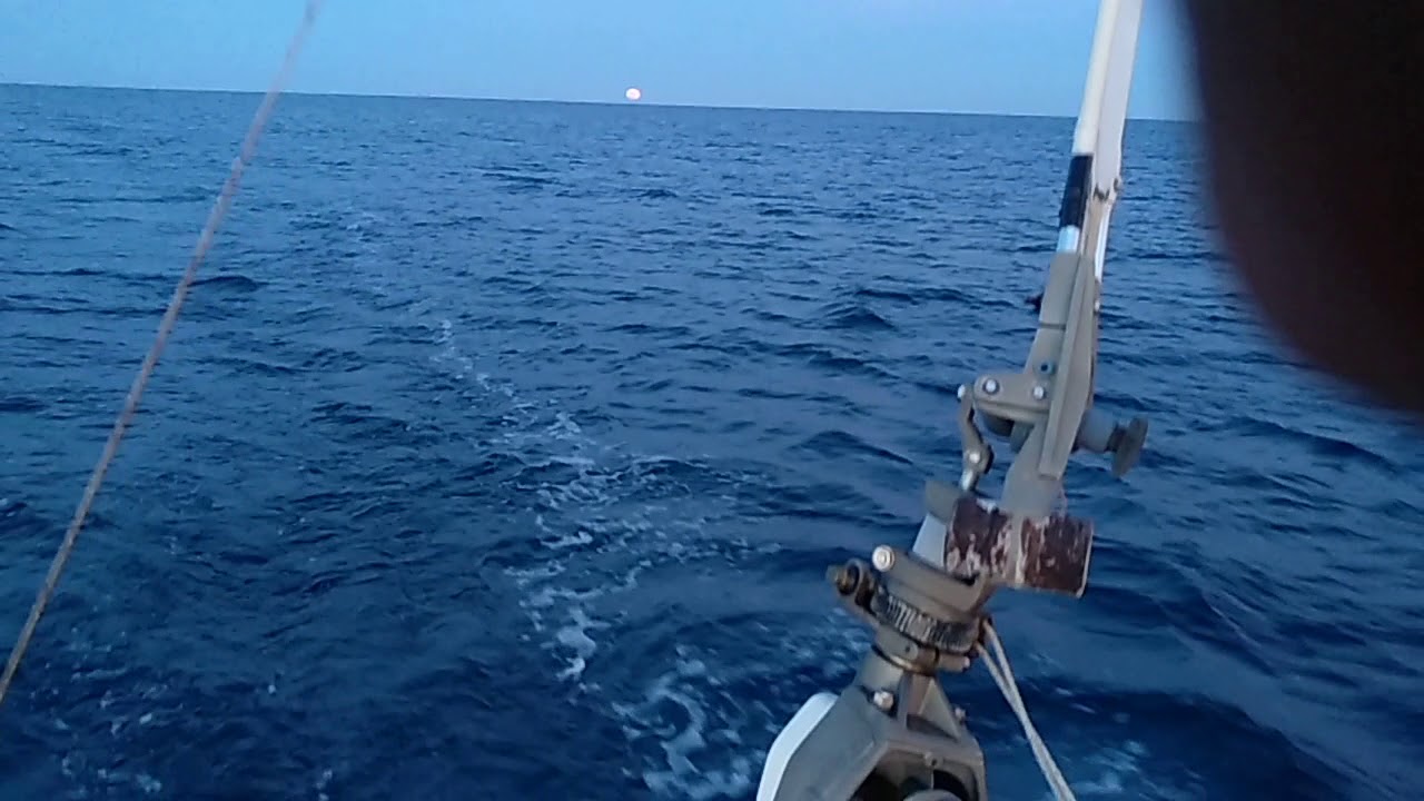 ⁣Cutles in the Sunrise