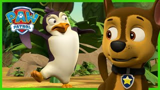 PAW Patrol Outdoor Fun & Rescues! 🌲 w/ Chase, Everest & Rubble, 50 Minute  Compilation