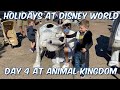 Disney World Holidays 2021 - Day 4 at Disney&#39;s Animal Kingdom