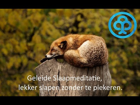 Geleide slaapmeditatie: Lekker diep slapen zonder te piekeren of wakker te liggen.