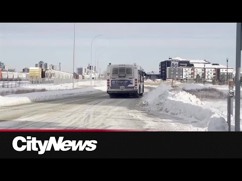 Winnipeg Transit Review