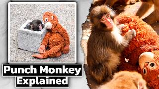 Punch Monkey Explained