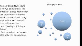 Mechanisms of Microevolution