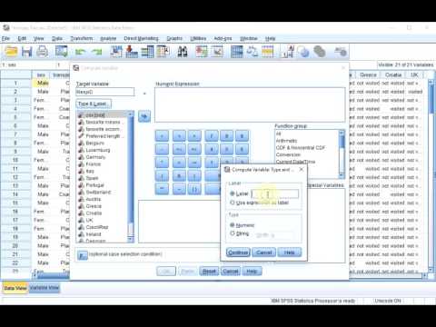 S01E04-1-4 SPSS Basics - Case numbering as variable (Respondent ID)