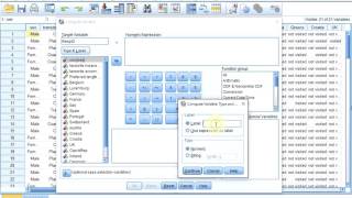 S01E04-1-4 SPSS Basics - Case numbering as variable (Respondent ID)